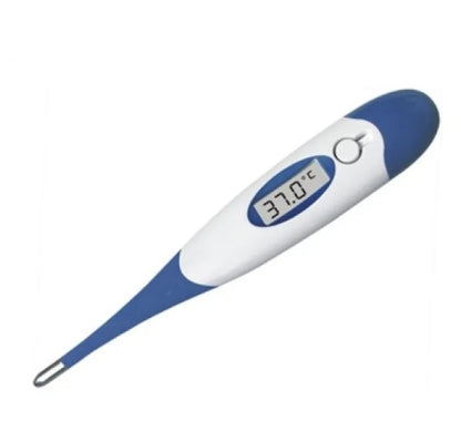 Digital Thermometer